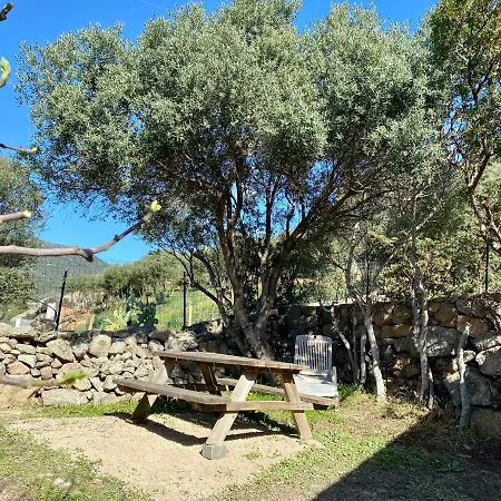 Hébergement de vacances Bergerie Casa Santu 22m2, Patio 35m2, En Pierres Typique, équipé Et Neuf,de Samedi En Samedi